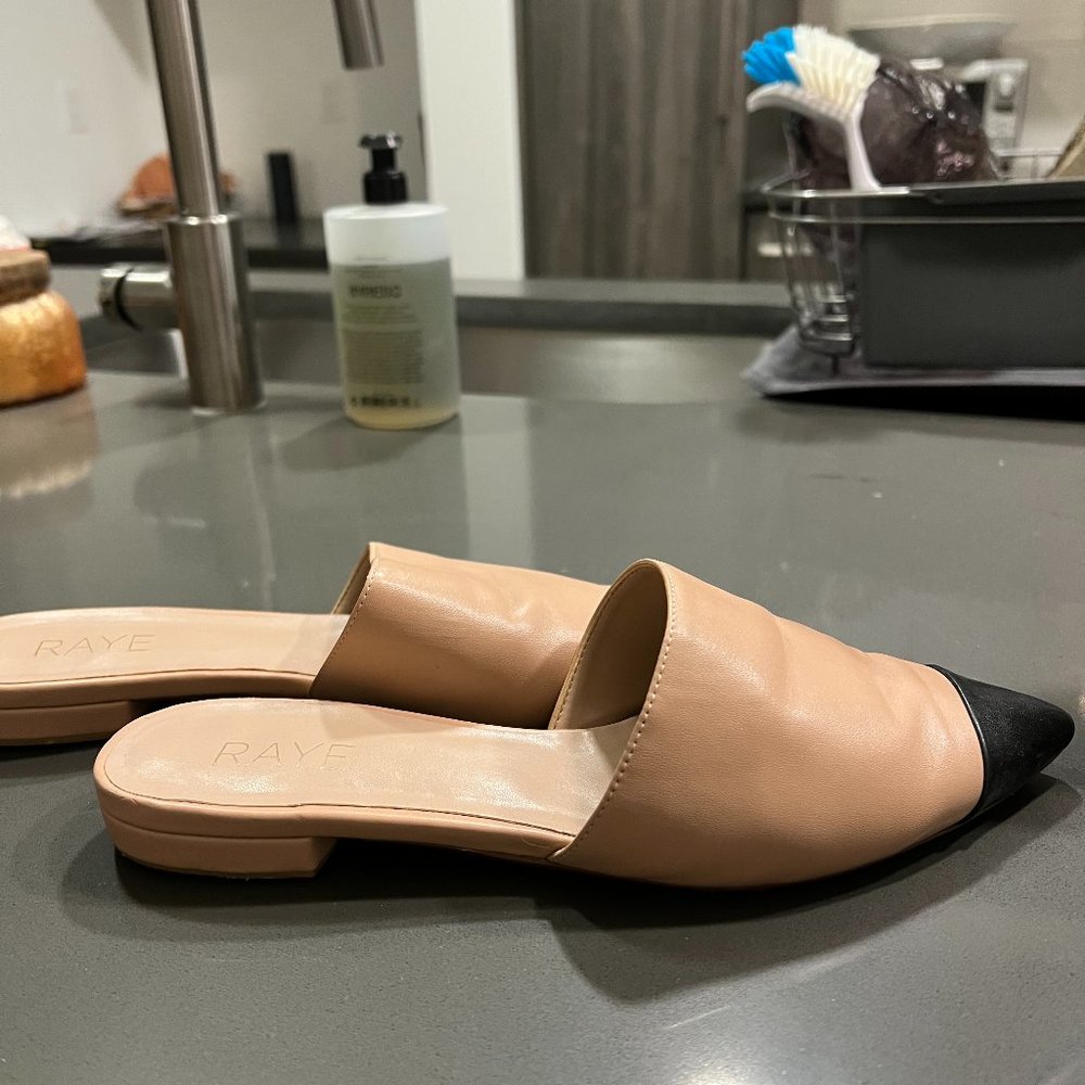 Raye Slides - image 2